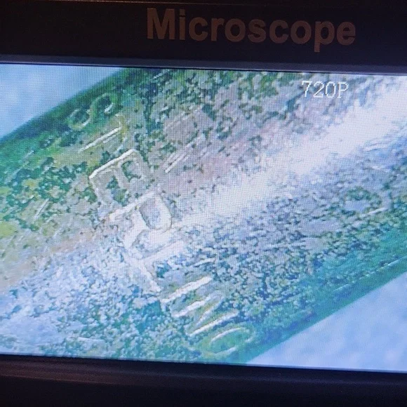 Lucifer's Dream - Picture 4 of 5